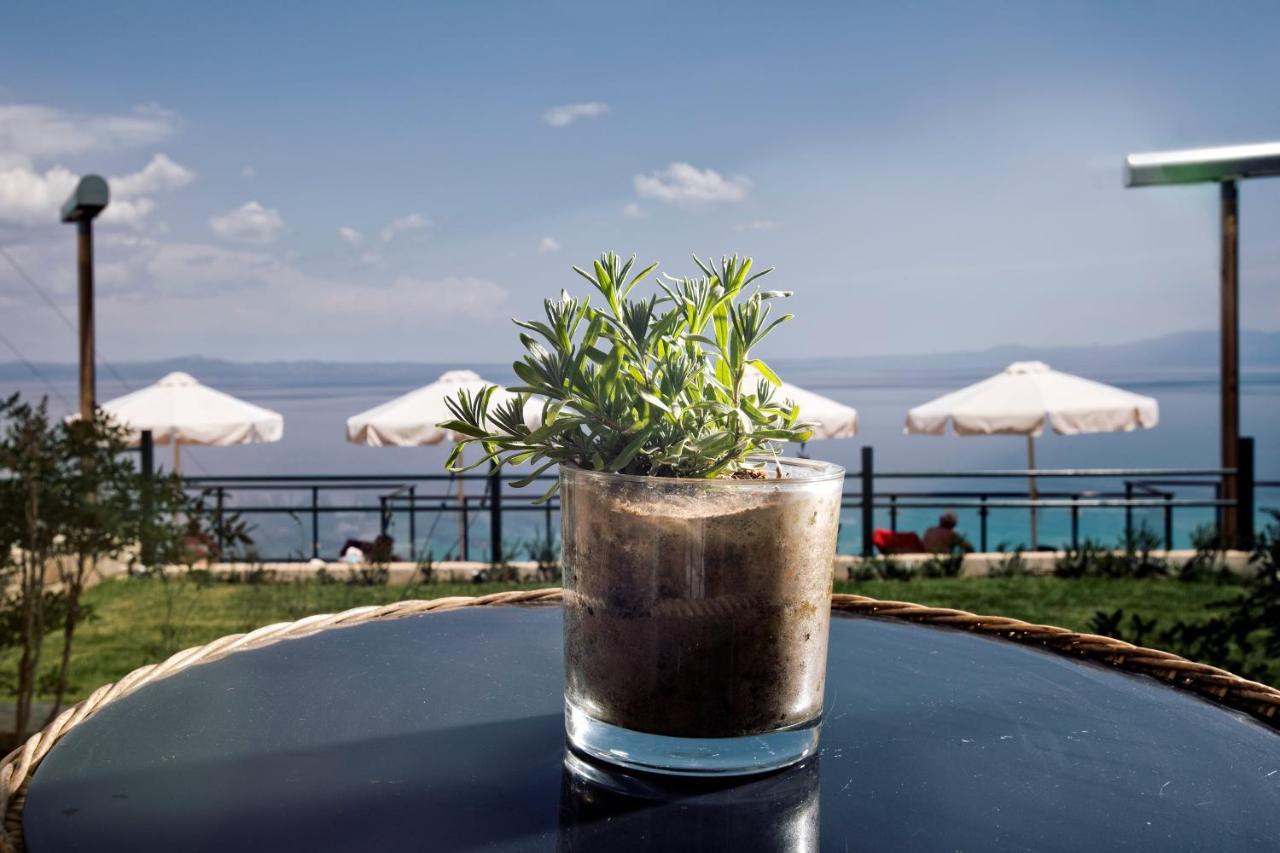 Rigas Boutique Hotel & Spa 阿菲托斯 外观 照片